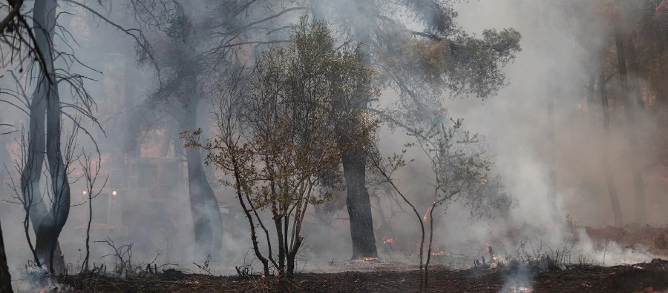 Φωτιά στον Θεολόγο: Αρνείται τώρα την εμπλοκή του ο 14χρονος – Παραπέμπεται για παιδοψυχιατρική εκτίμηση